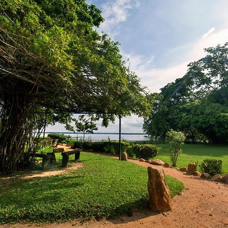 Miridiya Lake Resort Anuradhapura Ngoại thất bức ảnh