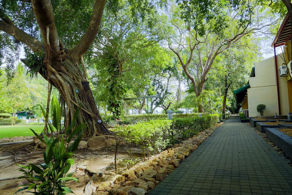 Miridiya Lake Resort Anuradhapura Ngoại thất bức ảnh
